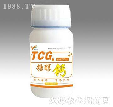 �Ǵ��}-���w�r(n��ng)�I(y��)