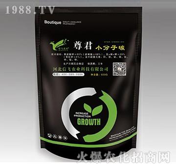 �VԴ�S�����-���-���w�r(n��ng)�I(y��)