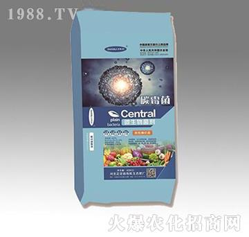 ΢�������-̼ø��-���w�r(n��ng)�I(y��)