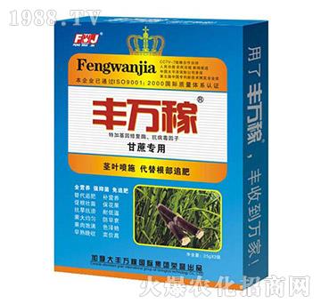 ���ጣ�÷�-���������������֠I(y��ng)�B(y��ng)Һ-�S�f��