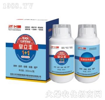 �����S������N��-�S�f(w��n)��