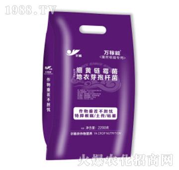 �ز�������÷�-�f����-Ǭ�r(n��ng)