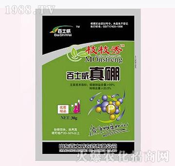 ��ʿ������-��ʿ��