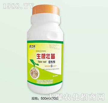 ����������L��-��ʿ��