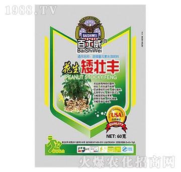 ���������S-��ʿ��