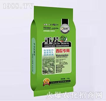 ���ό����ز��{�턩-��ʿ��