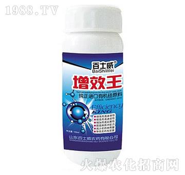 ��Ч��-��ʿ��