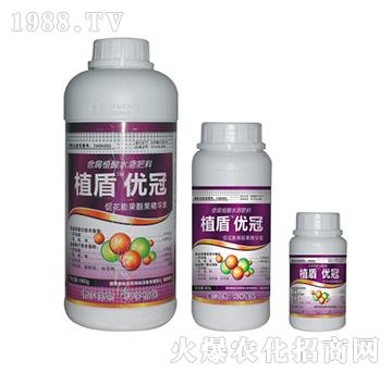 ��(y��u)��-ֲ��-� �����