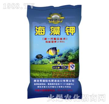 50kg�����-���R