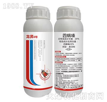 20%�����-���N6̖-���N����