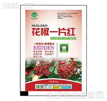 ����һƬ�t-��@���S-���S�ʘI(y��)