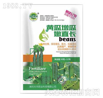 �S��������ֱ�L-��@���S-���S�ʘI(y��)