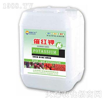 �߼t�-��@���S-���S�ʘI(y��)