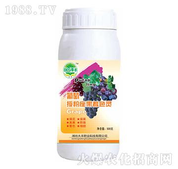 �����ڷ�������ɫ�`-��@���S-���S�ʘI(y��)