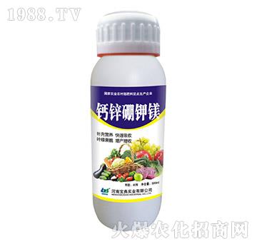 �}�\����V-���䌍(sh��)�I(y��)