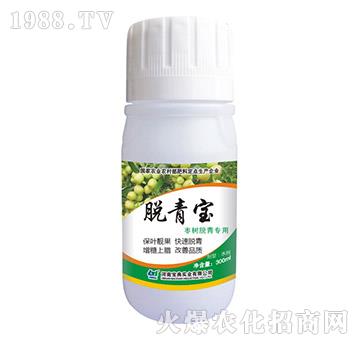 ����Ó������Ó����-���䌍(sh��)�I(y��)