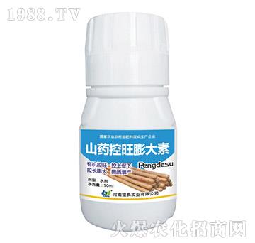 ɽˎ���������-���䌍(sh��)�I(y��)