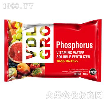 �S����ˮ�ܷ���10-53-10+TE+V-��ˇ��