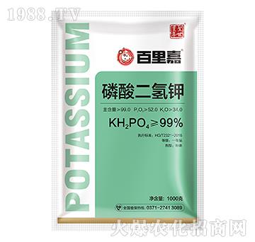 1000g��������-�����-ʥ���S