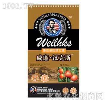 ���ѻ���S����-������