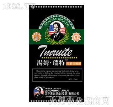 �����Ѹ���-��ķ������