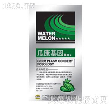 ����÷�-�Ͽ�����-