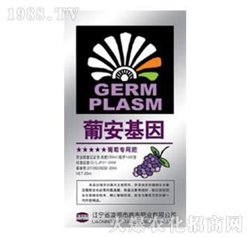 ���ь��÷�-�ϰ�����-