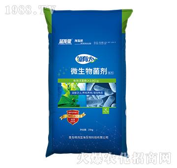 ΢�������-���О�-�{(l��n)����