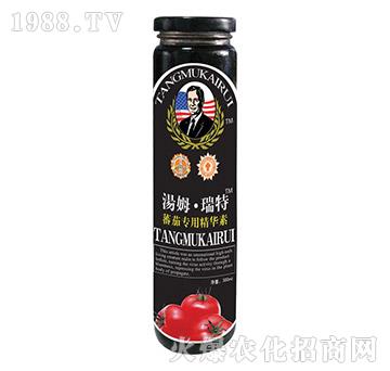 ެ�ь��þ��A��-��ķ��