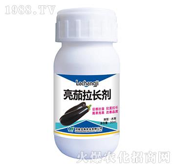 �������L��-���䌍�I(y��)