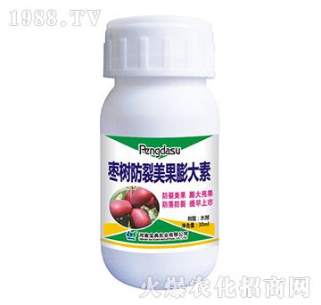 ����(sh��)�������������-���䌍(sh��)�I(y��)