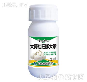 ������������-���䌍�I(y��)