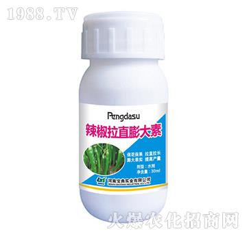 ������ֱ�����-���䌍�I(y��)