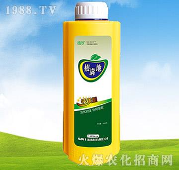 ���M��-ֲ��-�S�r�r��