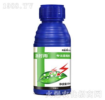 ˪ù����(zhu��n)�Ú�����-���r(sh��)��-�к���(r��n)��