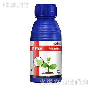 ��ù����(zhu��n)�Ú�����-���r(sh��)��-�к���(r��n)��