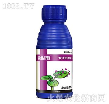 �׷۲���(zhu��n)�Ú�����-���r(sh��)��-�к���(r��n)��