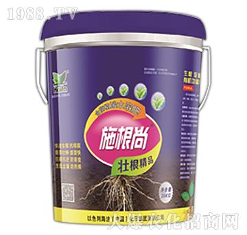 ʩ����-����