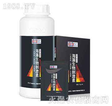 ��������̼���-Ӣ����