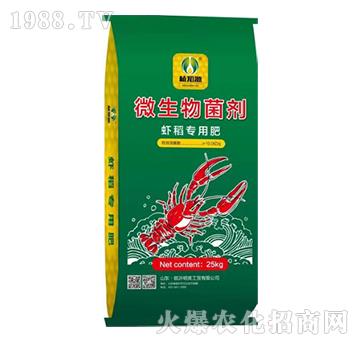 ΢�������-�r����(zhu��n)�÷�-ֲ֪Դ-��Ӣ���Q(m��o)