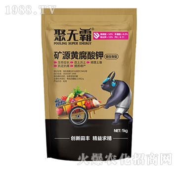 ΢�����͵VԴ�S�����-�۟o(w��)��-���S����