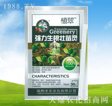 ��(qi��ng)�����������`-ֲ��-�S�r(n��ng)�r(n��ng)��