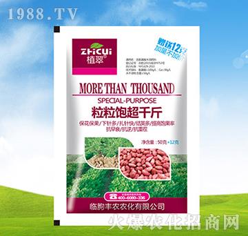 �����ǧ��-ֲ��-�S�r�r��