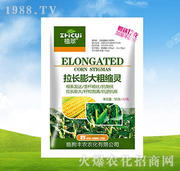 ���L(zh��ng)���ֿs�`-ֲ��-�S�r(n��ng)�r(n��ng)��