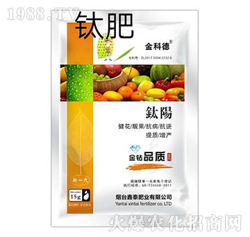 ��-��Ƶ�-��̩�ʘI(y��)