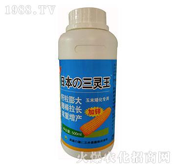 ���װ�������-�ձ����`��-���ƷʘI(y��)