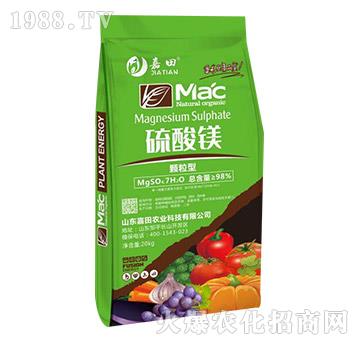 �w���������V-�����r�I(y��)