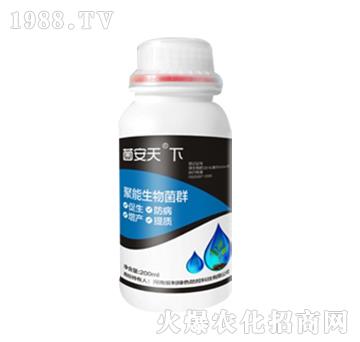 ΢�������-��������-���ϰ���