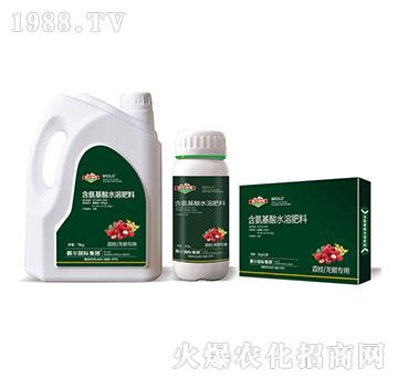 ��֦�����ی��ú�������