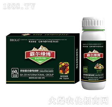 ���������Ͷ������Ͼ�ĸ